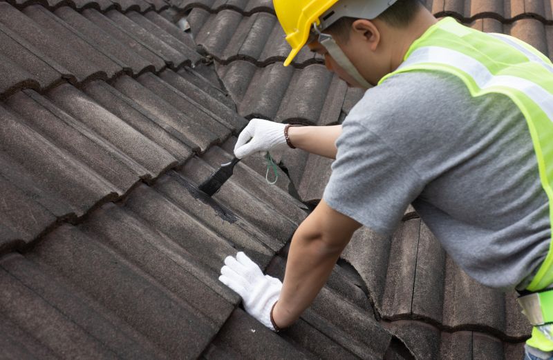 Experienced Roof Repair Experts